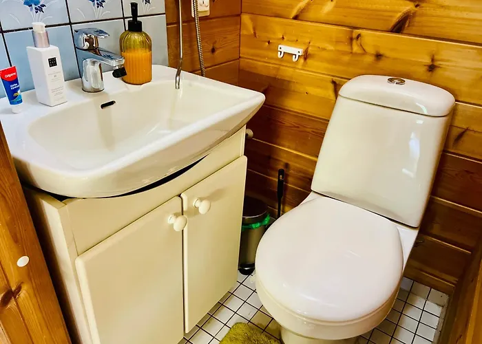 Countryside Riverside For Both Winter And Summer Hébergement de vacances Turenki